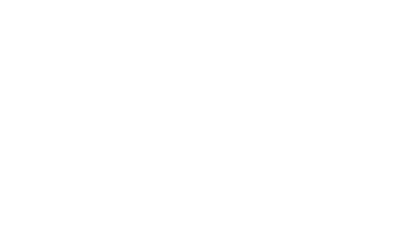 LV.4